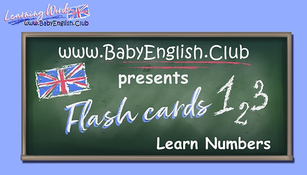 Flash Cards Learn Numbers