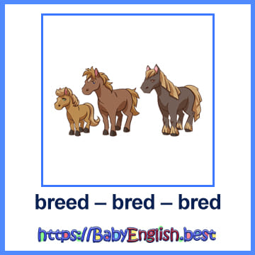 breed – bred – bred