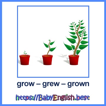 grow – grew – grown