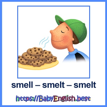 smell – smelt – smelt