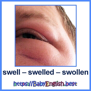 swell – swelled – swollen (swelled)