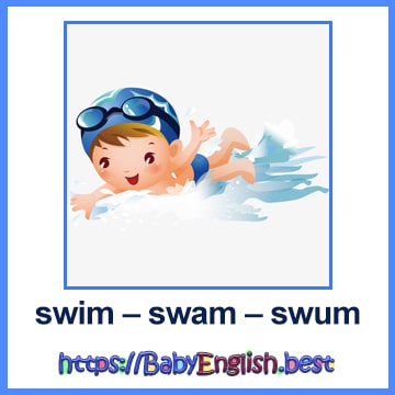 swim – swam – swum