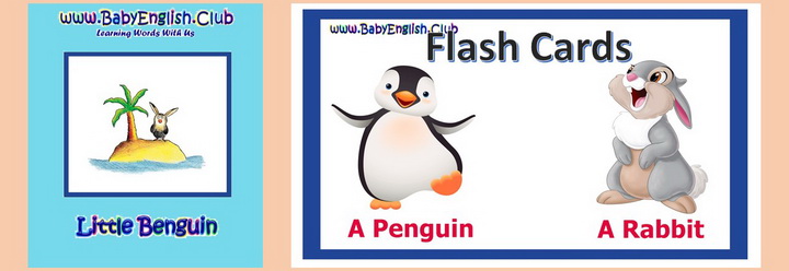 Little Benguin Flash Cards